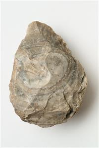 Handaxe  
 Photographer:Meidad Suchowolski