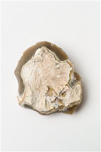 Flake Core Levallois 
 Photographer:Meidad Suchowolski