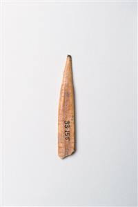 Point Engraved 
 Photographer:Meidad Suchowolski