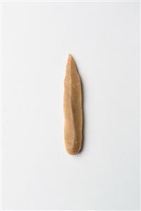 Pointed Retouched Bladelet
Photographer:Meidad Suchowolski