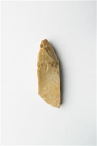 Narrow Carinated Scraper
Photographer:Meidad Suchowolski