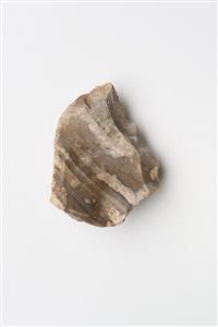 Flake Core Levallois
Photographer:Meidad Suchowolski