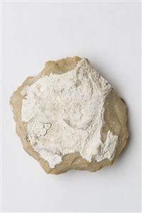 Flake Core Levallois 
 Photographer:Meidad Suchowolski