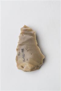 Flake Serrated
Photographer:Meidad Suchowolski