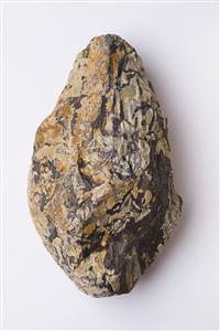 Handaxe  
 Photographer:Meidad Suchowolski