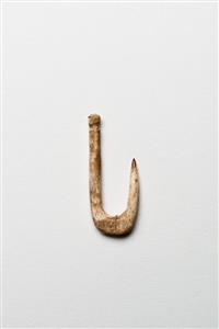 Fish Hook  
 Photographer:Meidad Suchowolski