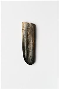 Sickle Incised
Photographer:Meidad Suchowolski