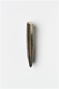 Sickle Incised
Photographer:Meidad Suchowolski