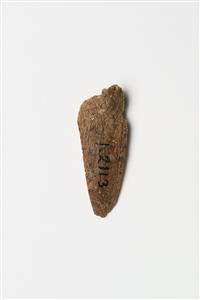 Flake Bone Incised
Photographer:Meidad Suchowolski