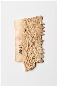 Worked Bone Engraved
Photographer:Meidad Suchowolski