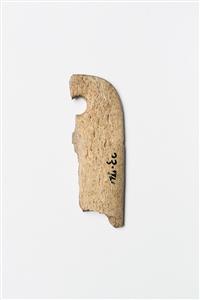 Worked Bone Engraved
Photographer:Meidad Suchowolski