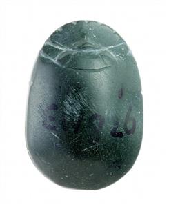 Scarab
Photographer:Clara Amit