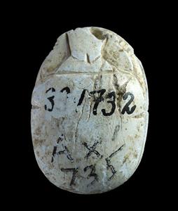 Scarab Hyksos
Photographer:Clara Amit