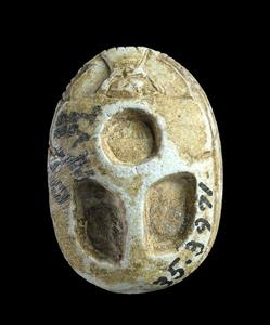Scarab  
 Photographer:Clara Amit