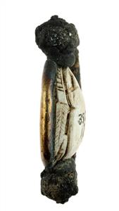 Scarab  
 Photographer:Clara Amit