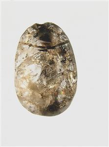 Scarab
Photographer:Clara Amit