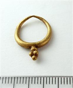 Earring  
 Photographer:Clara Amit