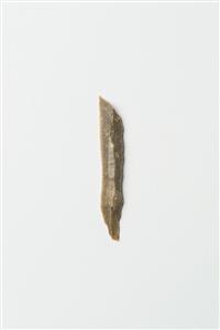 Obliquely Truncated Backed Bladelet
Photographer:Meidad Suchowolski