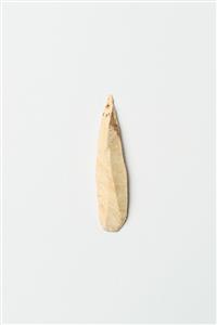 Pointed Retouched Bladelet
Photographer:Meidad Suchowolski