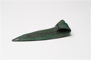 Dagger  
 Photographer:Meidad Suchowolski