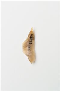 Triangle (Microlith)  
 Photographer:Meidad Suchowolski