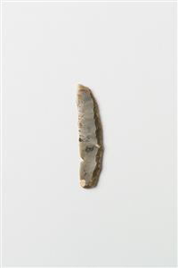 Sickle Blade Helwan
Photographer:Meidad Suchowolski