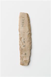 Sickle Blade Helwan
Photographer:Meidad Suchowolski