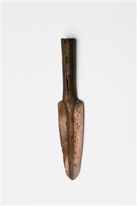 Spear-Head  
 Photographer:Meidad Suchowolski
