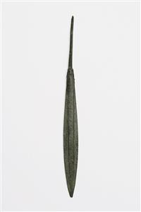 Arrowhead  
 Photographer:Meidad Suchowolski