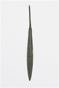 Arrowhead  
 Photographer:Meidad Suchowolski