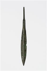 Arrowhead  
 Photographer:Meidad Suchowolski
