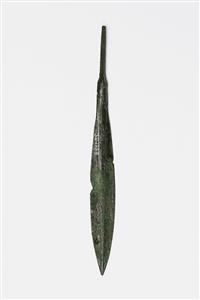 Arrowhead  
 Photographer:Meidad Suchowolski