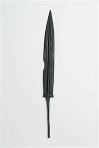 Dagger  
 Photographer:Meidad Suchowolski
