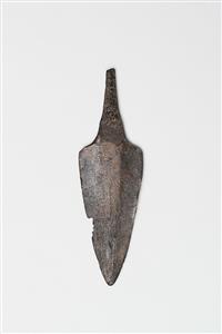 Arrowhead  
 Photographer:Meidad Suchowolski