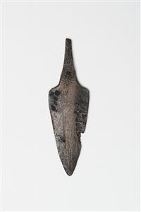Arrowhead  
 Photographer:Meidad Suchowolski