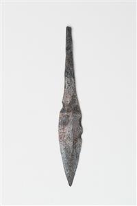 Arrowhead  
 Photographer:Meidad Suchowolski