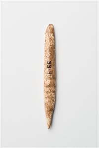 Point Incised 
 Photographer:Meidad Suchowolski