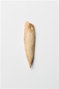 Fragment Point
Photographer:Meidad Suchowolski