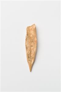 Fragment Point   
 Photographer:Meidad Suchowolski