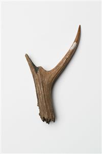 Awl Antler
Photographer:Meidad Suchowolski