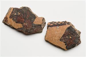 Sherd Painted
Photographer:Meidad Suchowolski