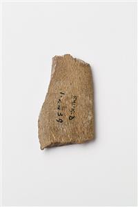 Fragment Worked Bone Engraved
Photographer:Meidad Suchowolski