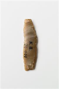Sickle Blade  
 Photographer:Meidad Suchowolski