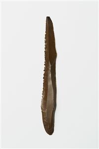 Sickle Blade Serrated
Photographer:Meidad Suchowolski