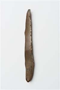 Sickle Blade Serrated
Photographer:Meidad Suchowolski