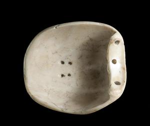 Pierced Shell  
 Photographer:Clara Amit