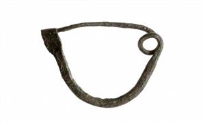 Fibula  
 Photographer:Clara Amit