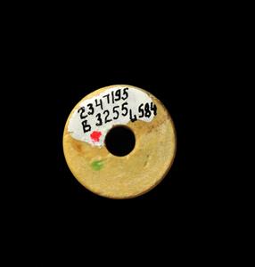 Spindle Whorl Engraved
Photographer:Yolovitch Yael