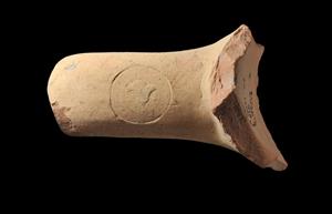 Handle Amphora Rhodian  
 Photographer:Yolovitch Yael