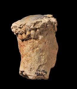 Head Figurine Anthropomorphic
Photographer:Yolovitch Yael